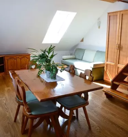 Comfortable apartment for rent in gorenjska